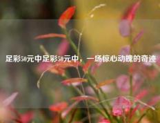 足彩50元中足彩50元中，一场惊心动魄的奇迹