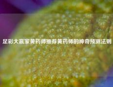 足彩大赢家黄药师推荐黄药师的神奇预测法则
