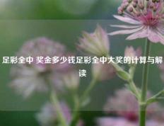 足彩全中 奖金多少钱足彩全中大奖的计算与解读