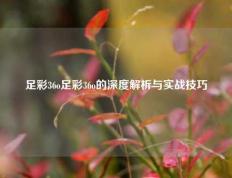 足彩36o足彩36o的深度解析与实战技巧