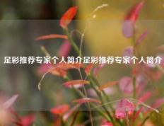 足彩推荐专家个人简介足彩推荐专家个人简介