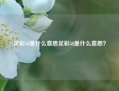 足彩58是什么意思足彩58是什么意思？