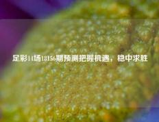足彩14场18156期预测把握机遇，稳中求胜