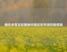 腾讯体育足彩揭秘中国足彩市场的新格局