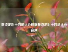 新浪足彩十四场比分预测新浪足彩十四场比分预测