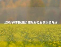 足彩竞彩的玩法介绍足彩竞彩的玩法介绍