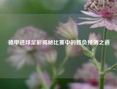 德甲进球足彩揭秘比赛中的胜负预测之道