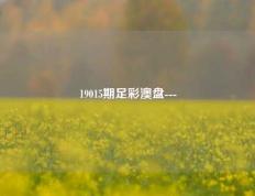 19015期足彩澳盘---