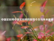 中国足彩网中国足彩网的前世今生与未来展望