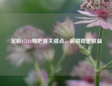 足彩17124期把握关键点，赢得稳定收益