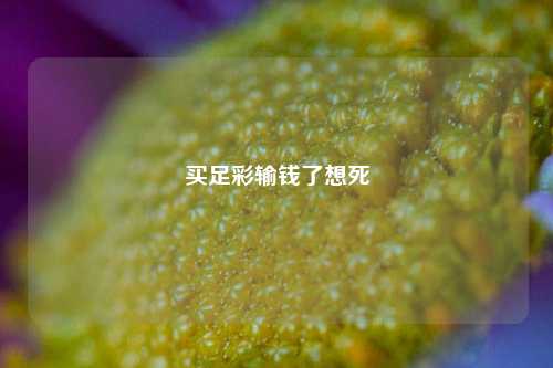 买足彩输钱了想死