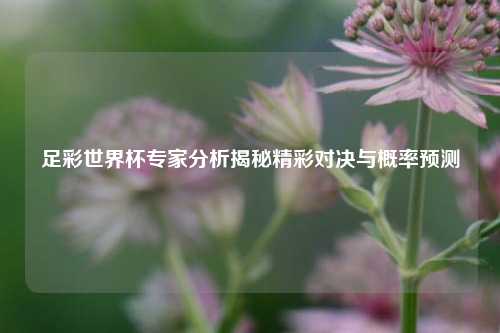 足彩世界杯专家分析揭秘精彩对决与概率预测