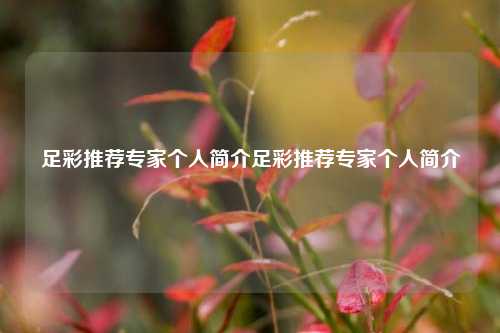 足彩推荐专家个人简介足彩推荐专家个人简介