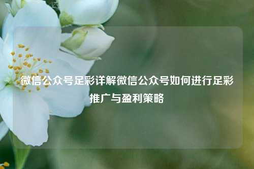 微信公众号足彩详解微信公众号如何进行足彩推广与盈利策略