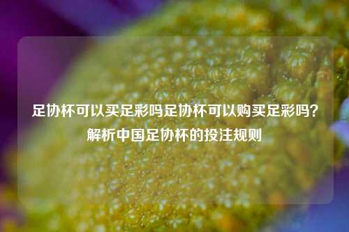 足协杯可以买足彩吗足协杯可以购买足彩吗？解析中国足协杯的投注规则