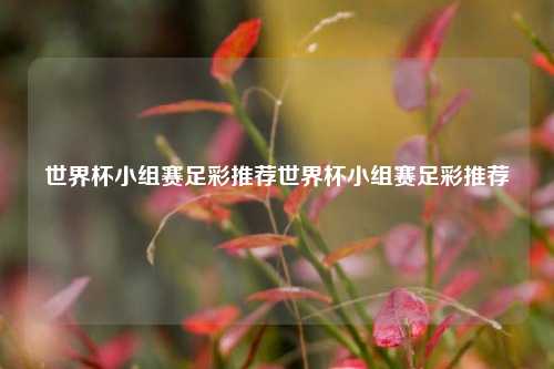 世界杯小组赛足彩推荐世界杯小组赛足彩推荐