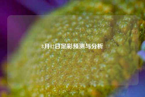 8月12日足彩预测与分析