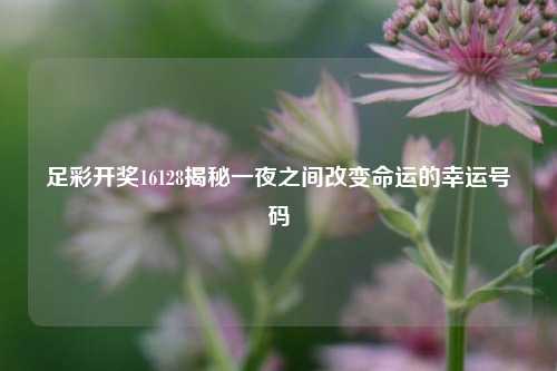 足彩开奖16128揭秘一夜之间改变命运的幸运号码