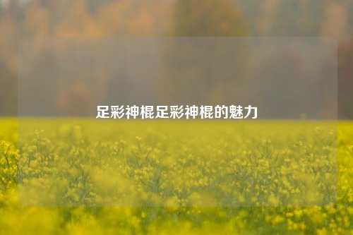 足彩神棍足彩神棍的魅力