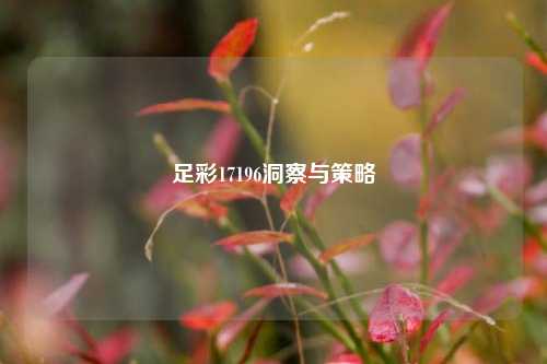 足彩17196洞察与策略