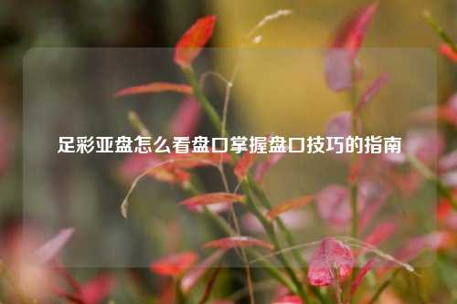 足彩亚盘怎么看盘口掌握盘口技巧的指南