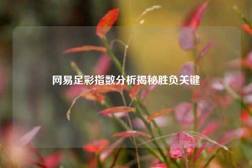网易足彩指数分析揭秘胜负关键