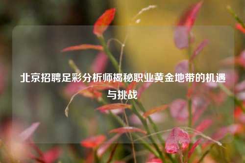 北京招聘足彩分析师揭秘职业黄金地带的机遇与挑战