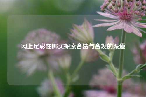 网上足彩在哪买探索合法与合规的渠道