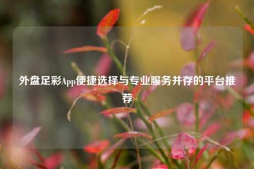 外盘足彩App便捷选择与专业服务并存的平台推荐