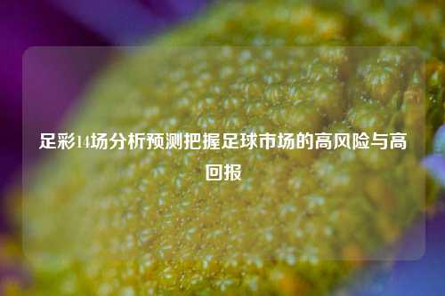足彩14场分析预测把握足球市场的高风险与高回报
