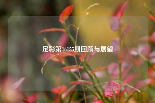 足彩第16155期回顾与展望