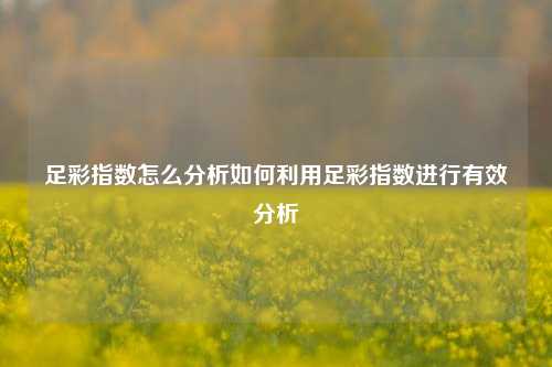 足彩指数怎么分析如何利用足彩指数进行有效分析
