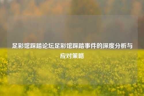 足彩馆踩踏论坛足彩馆踩踏事件的深度分析与应对策略