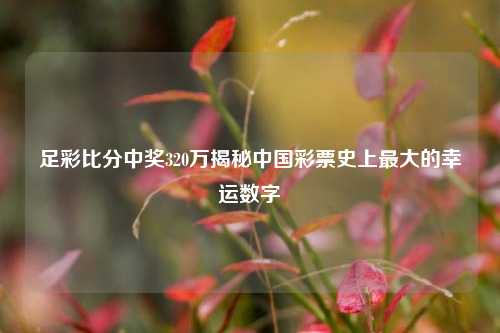 足彩比分中奖320万揭秘中国彩票史上最大的幸运数字