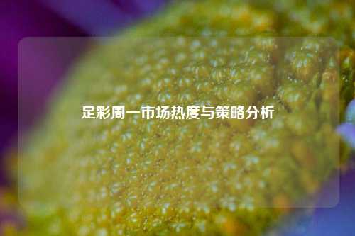 足彩周一市场热度与策略分析