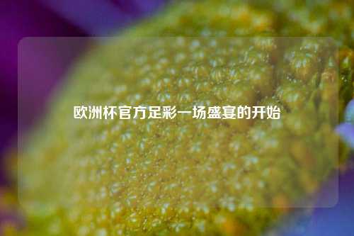 欧洲杯官方足彩一场盛宴的开始