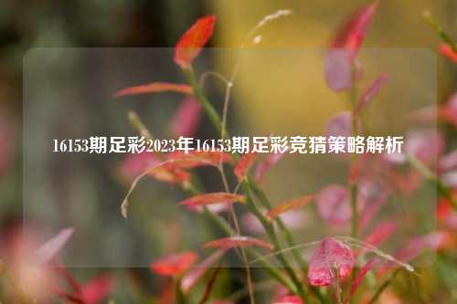 16153期足彩2023年16153期足彩竞猜策略解析