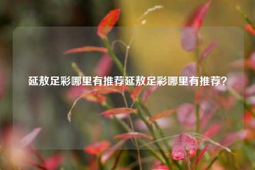 延敖足彩哪里有推荐延敖足彩哪里有推荐？