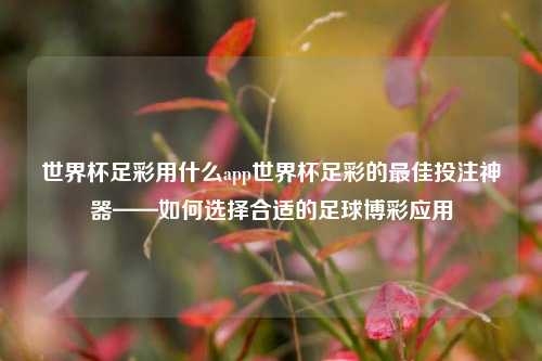 世界杯足彩用什么app世界杯足彩的最佳投注神器——如何选择合适的足球博彩应用