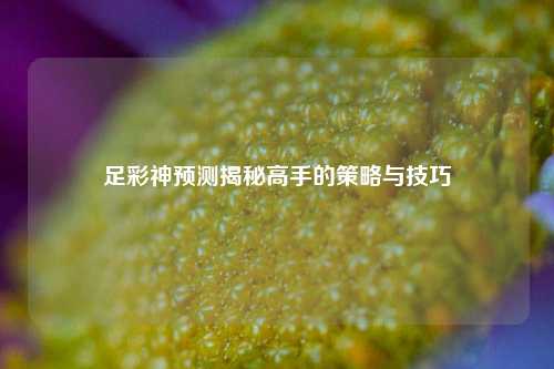 足彩神预测揭秘高手的策略与技巧