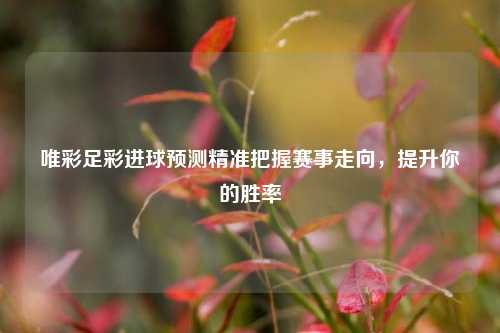 唯彩足彩进球预测精准把握赛事走向，提升你的胜率